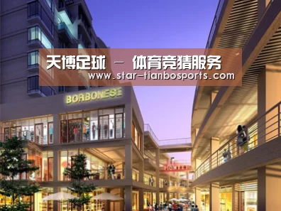 案例展示一(图1)