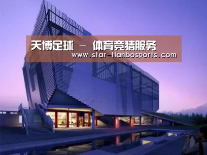 案例展示六