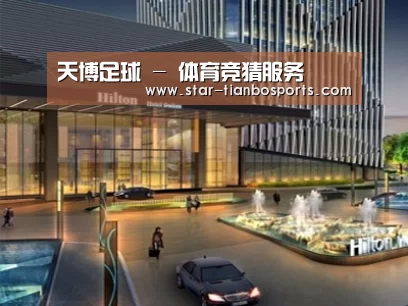 案例展示二