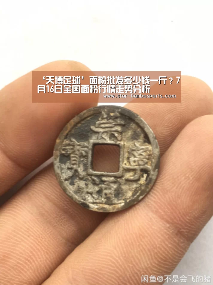 天博体育手机版