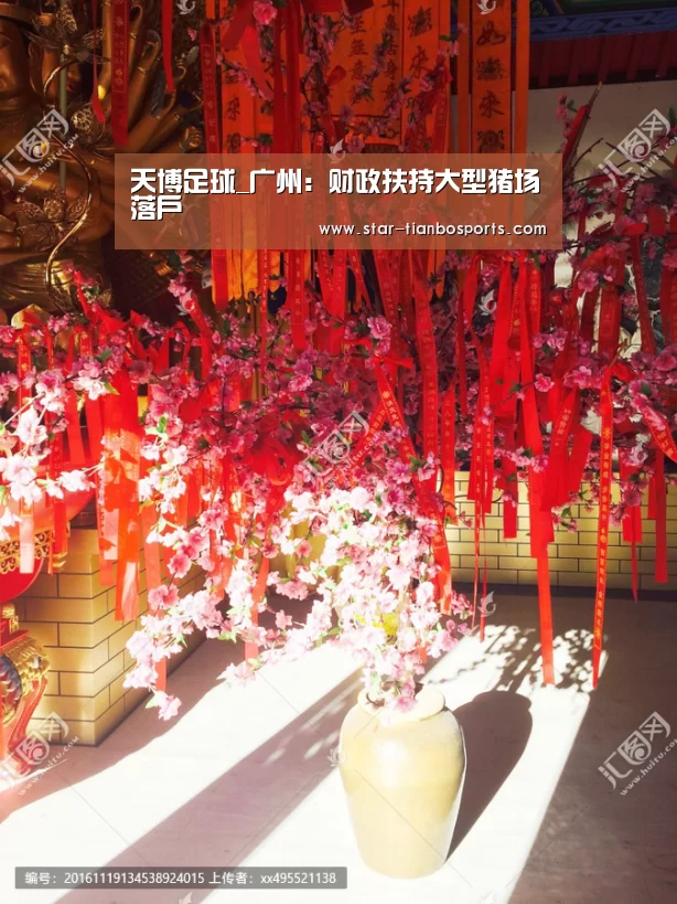 天博体育手机版