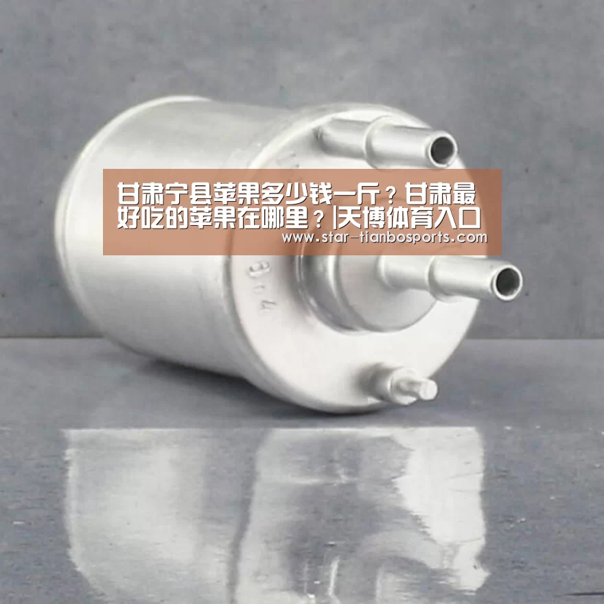甘肃宁县苹果多少钱一斤?甘肃最好吃的苹果在哪里?|天博体育入口(图2) 天博体育