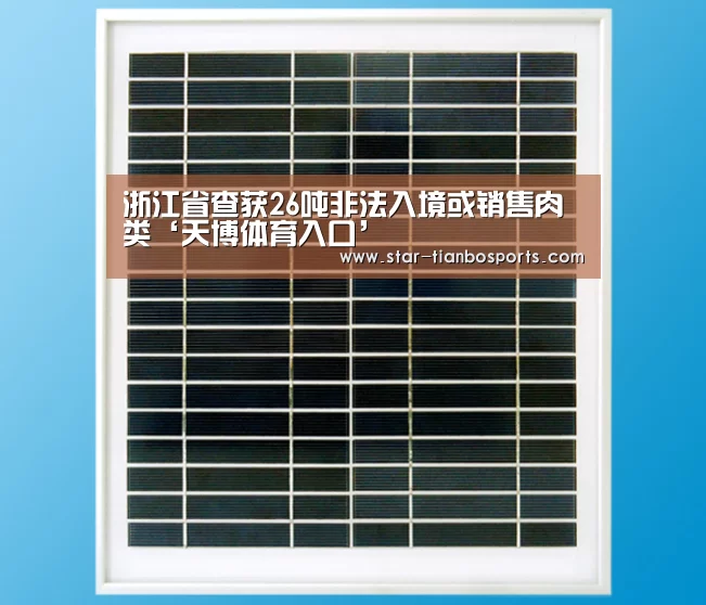 浙江省查获26吨非法入境或销售肉类‘天博体育入口’(图3) 天博体育入口