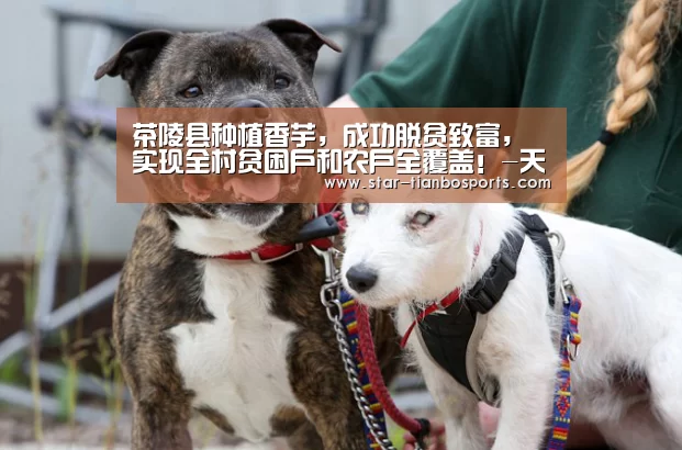 天博体育手机版