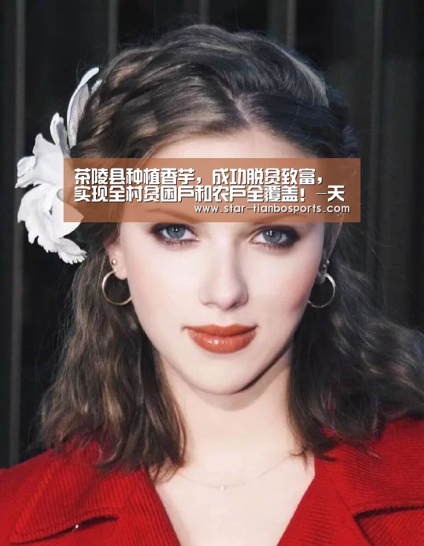 天博体育手机版