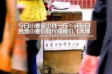 今日小麦多少钱一斤?6月6日各地小麦价格行情报价【天博体育入口】(图1) 天博足球