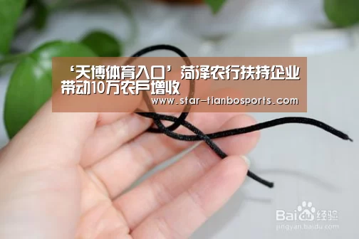 ‘天博体育入口’菏泽农行扶持企业带动10万农户增收(图1) 天博体育入口