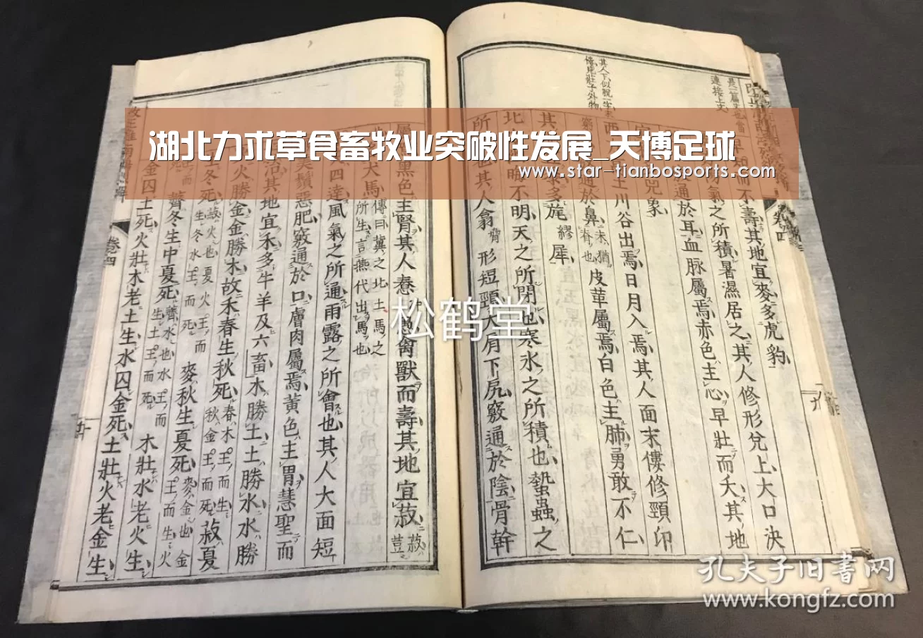 天博足球